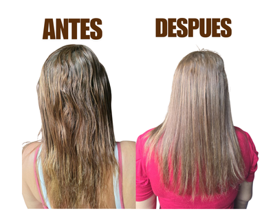 <strong>Zury Mejia</strong>